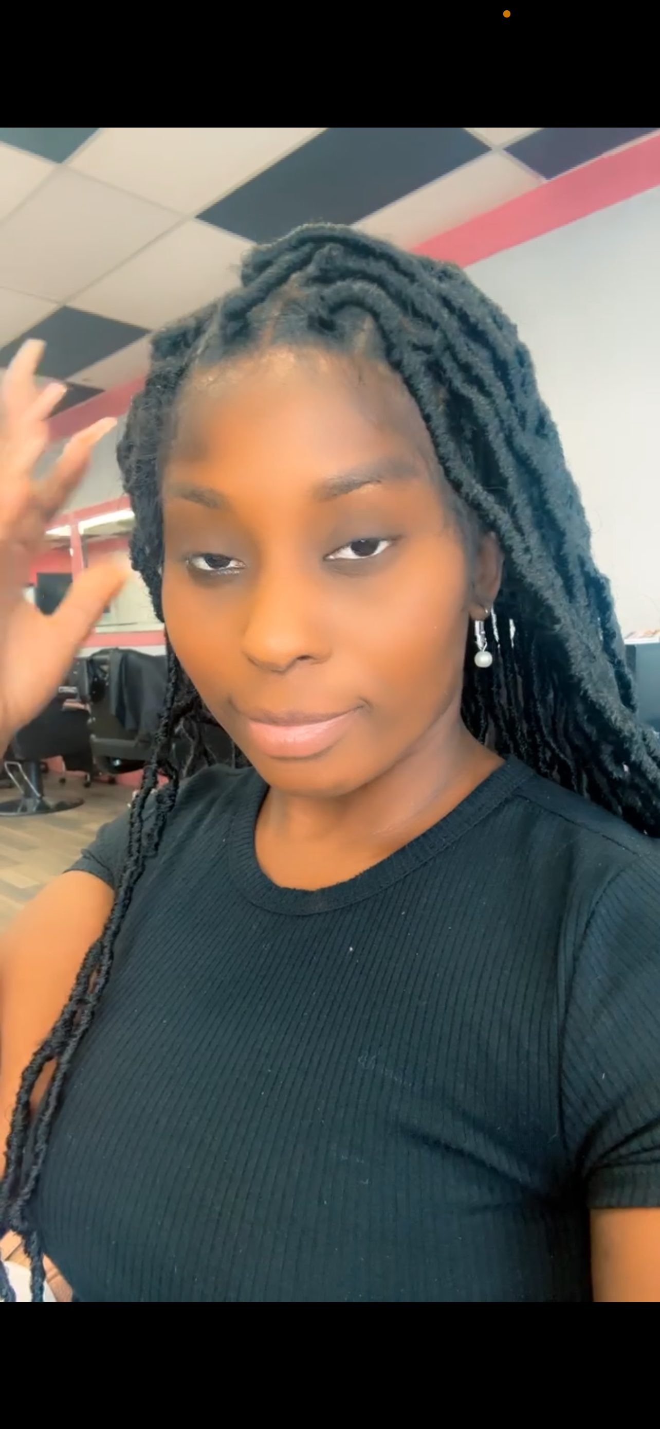 Braided Faux Locs Lace Wigs (Faux Locs)