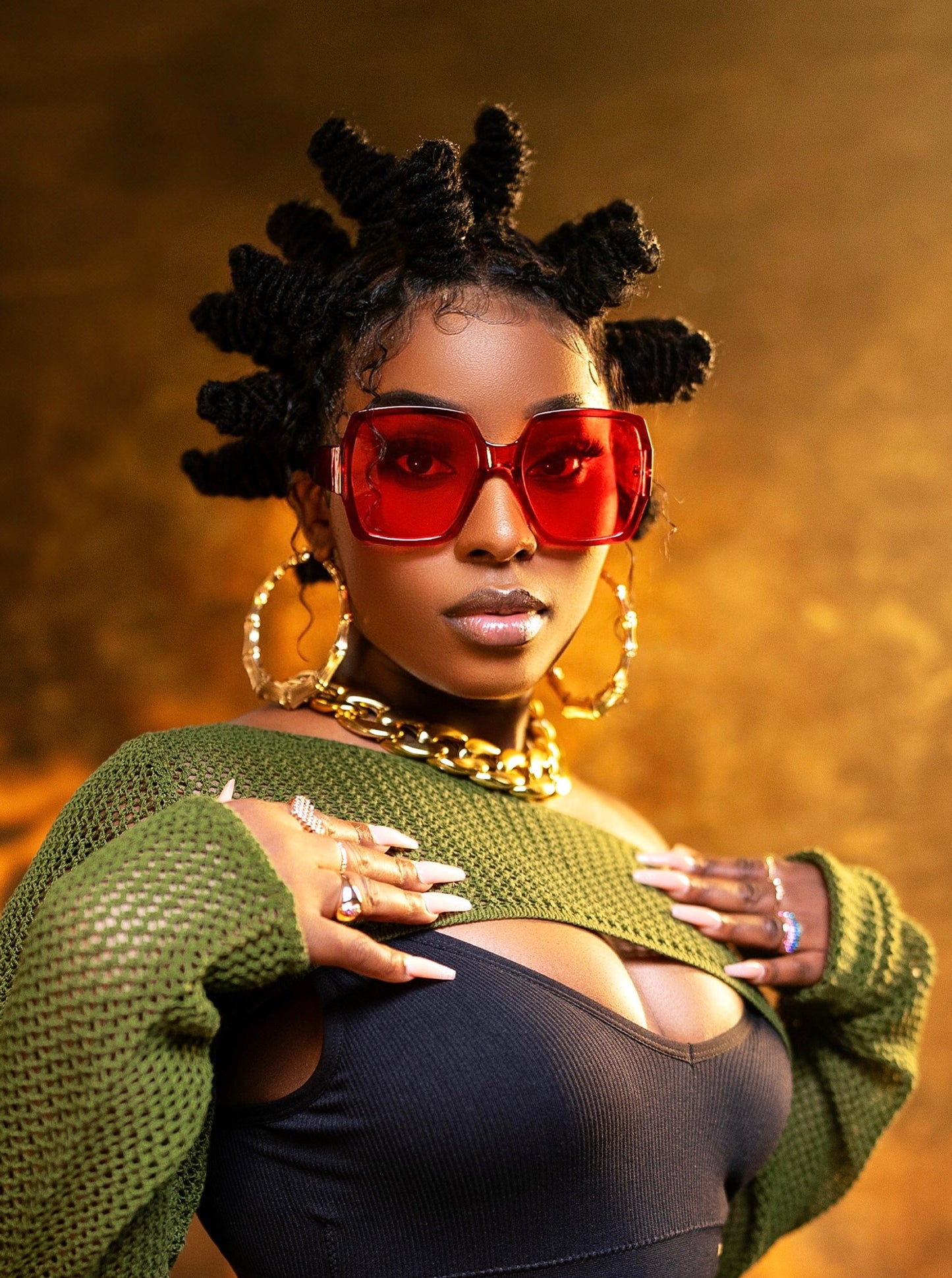 Braided Faux Locs Lace Wigs (Faux Locs)